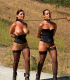 Bonus update: van, wolf and rico at the 2008 up your alley fair