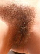 Bushy pussy